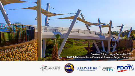 Multimodal Quarterly Report