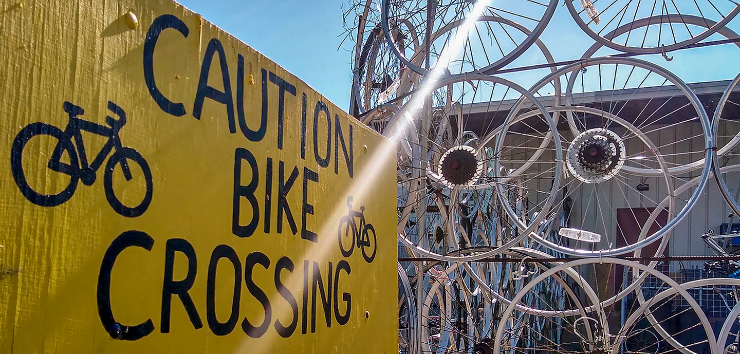 Caution Bike Crossing, Insights From Behind the Bench